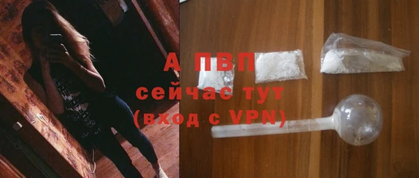 дживик Абинск