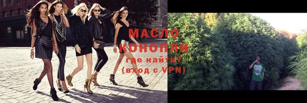 тгк Абаза