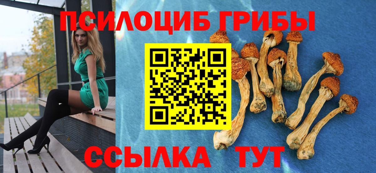 Псилоцибиновые грибы MAGIC MUSHROOMS Александров