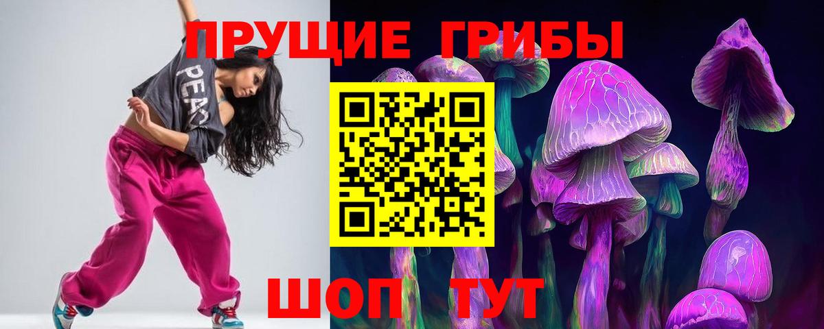 где найти   Вход с VPN  Александров  Псилоцибиновые грибы прущие грибы 