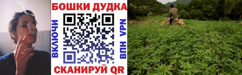 Марихуана конопля  купить закладку  Александров 